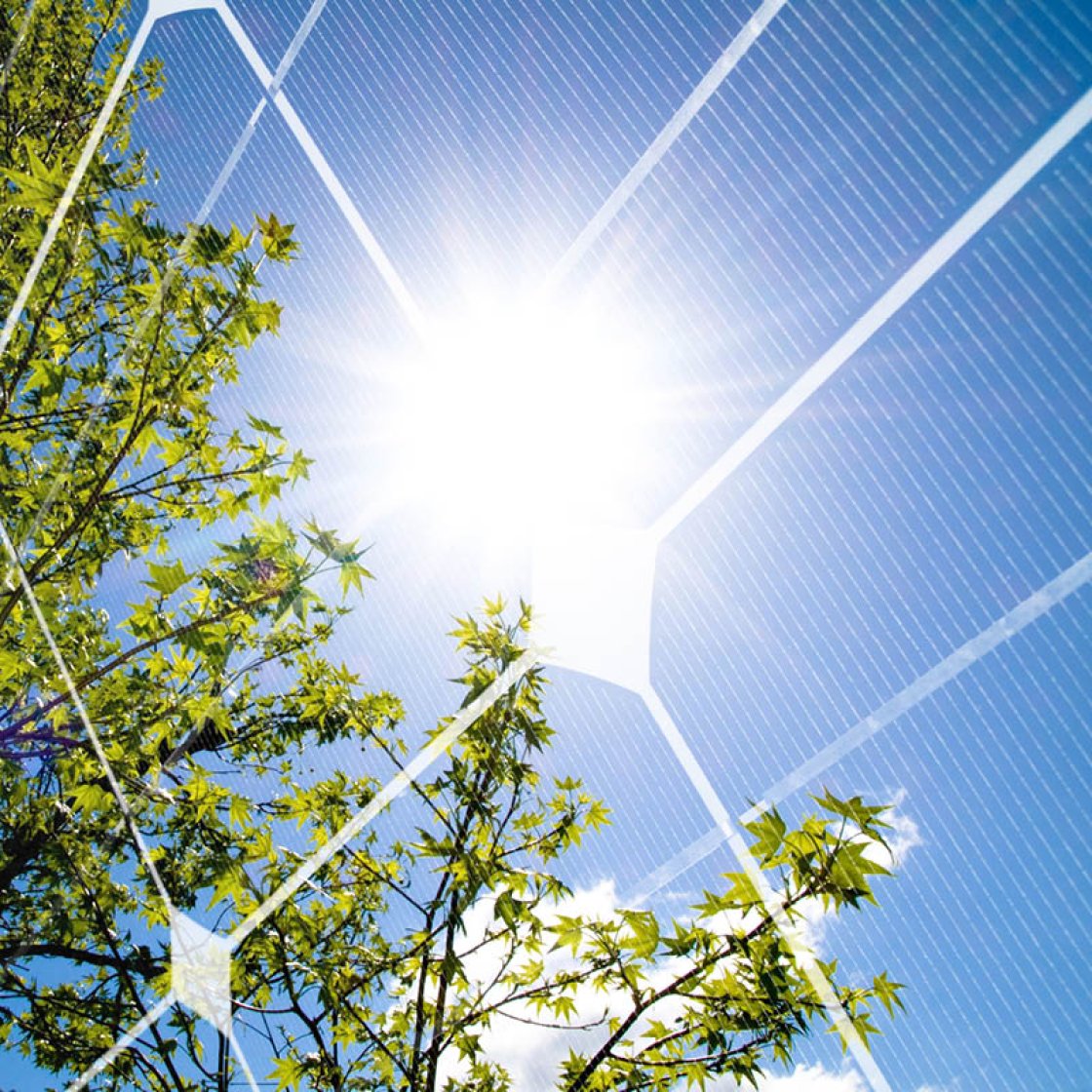Renewables