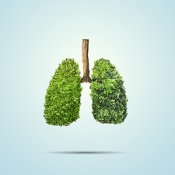Specflue Welcomes Clean Air Strategy