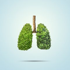 Specflue Welcomes Clean Air Strategy Specflue Welcomes Clean Air Strategy